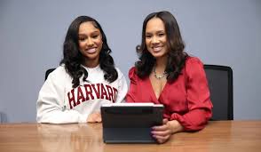 Understanding-Vellozgalgoen